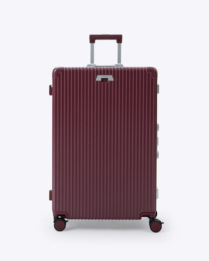 Carry-On + Check-In Luggage Set