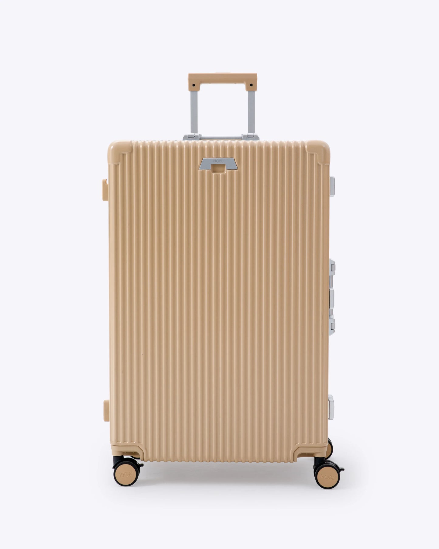 Carry-On + Check-In Luggage Set