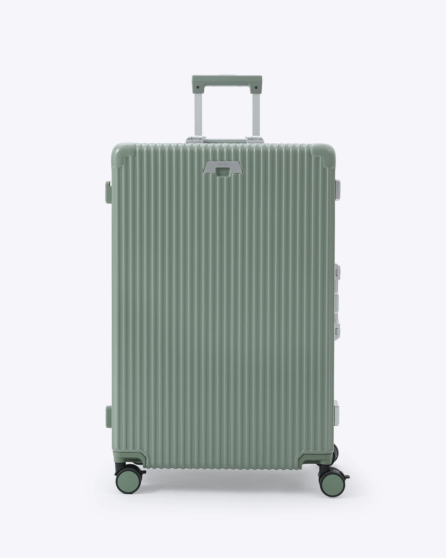 Carry-On + Check-In Luggage Set