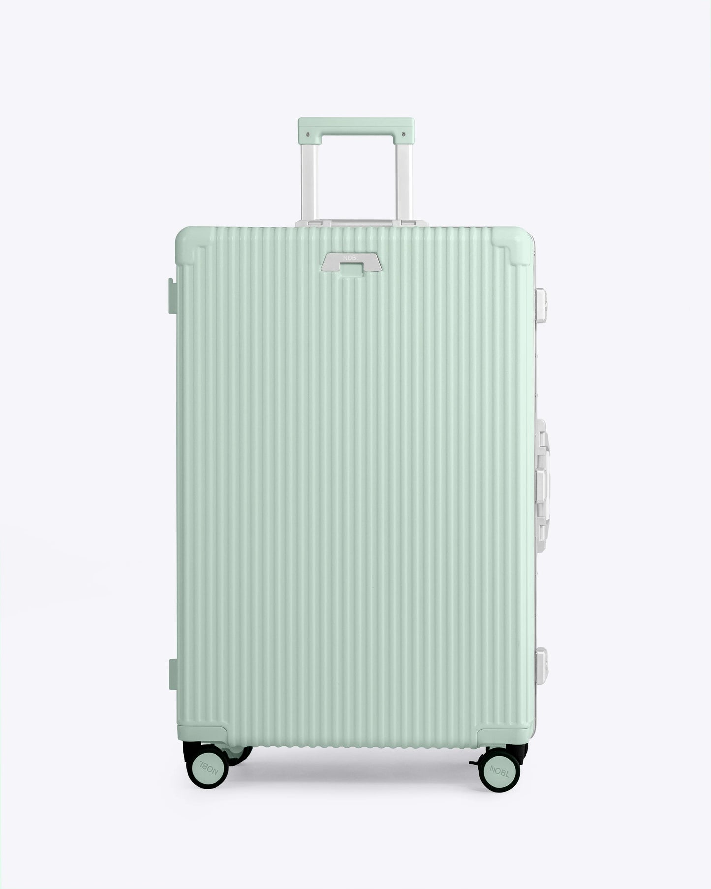 Carry-On + Check-In Luggage Set