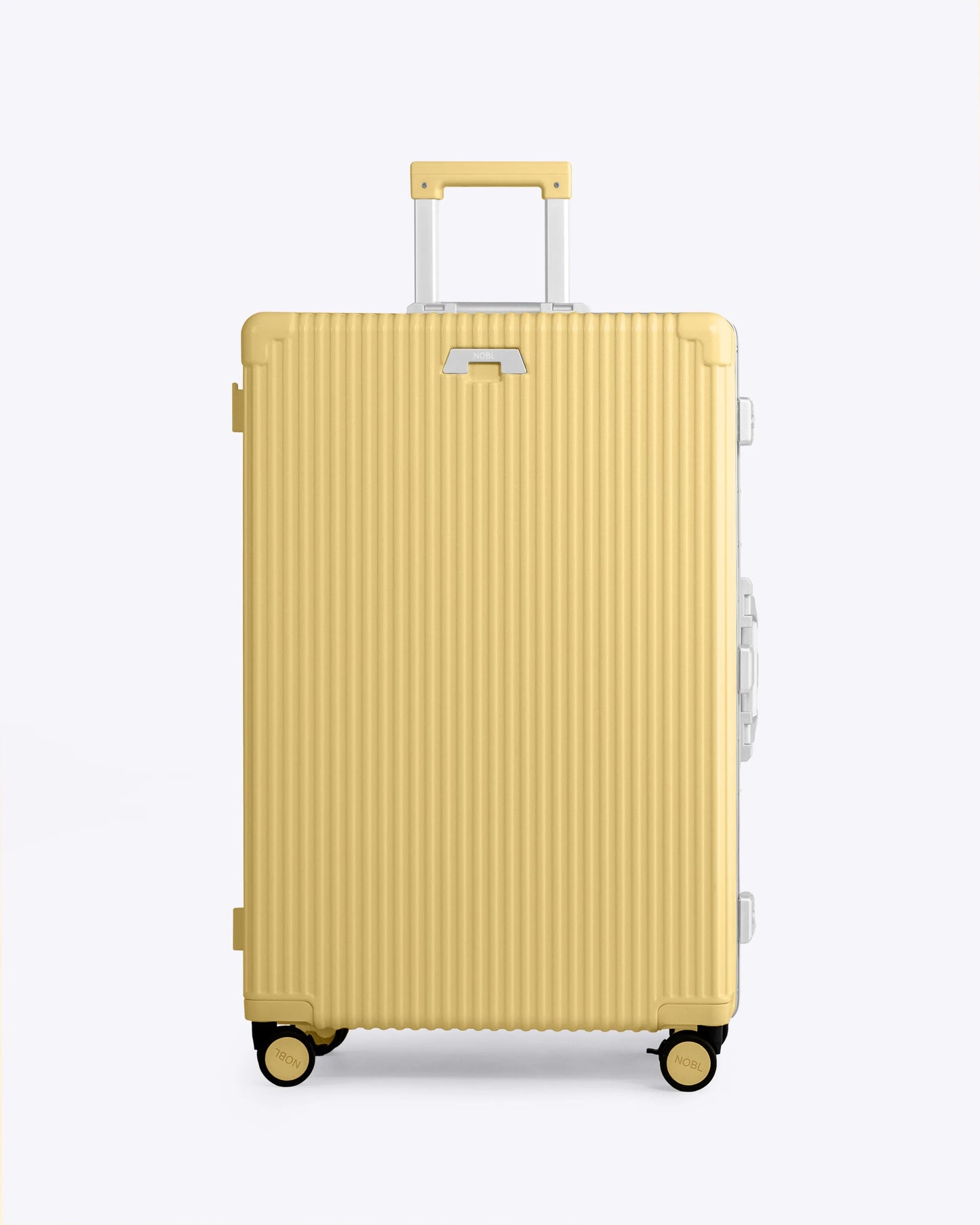 Carry-On + Check-In Luggage Set