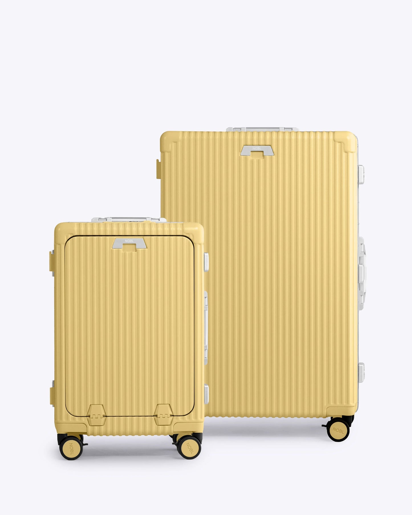 Carry-On + Check-In Luggage Set